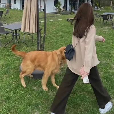 抢钱抢妞暴走男